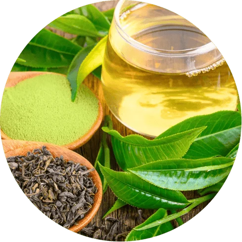 BrainVex™ L-Theanine Calm Focus Support